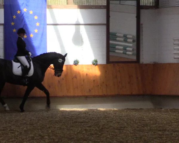 Reitturnier Bottrop 2018