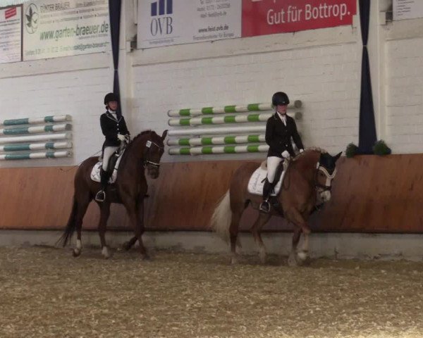 Reitturnier Bottrop 2018