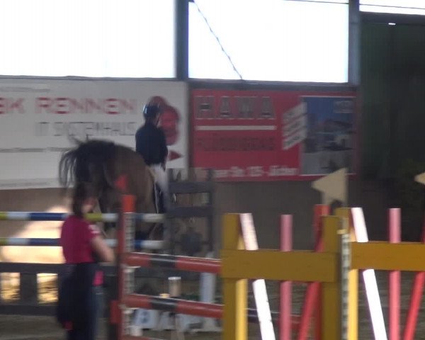Reitturnier Jüchen-Waat 2018