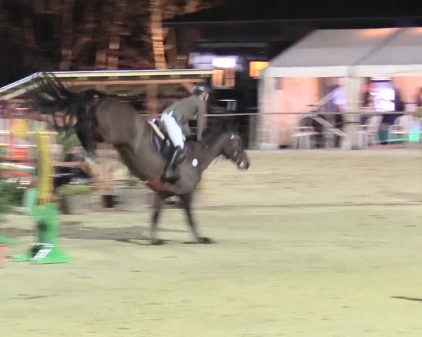 Reitturnier Schloß Holte 2018