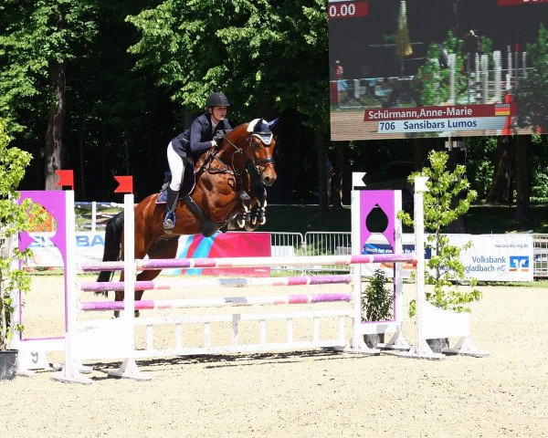 jumper Sansibars Lumos (Oldenburg, 2007, from Stalypso)