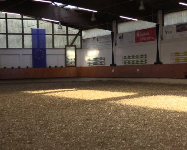 Reitturnier Bottrop 2018