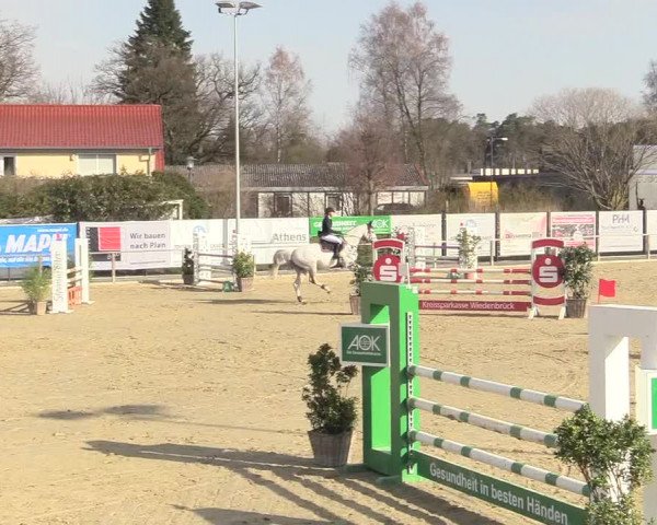 Reitturnier Schloß Holte 2018