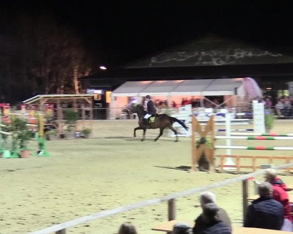 Reitturnier Schloß Holte 2018