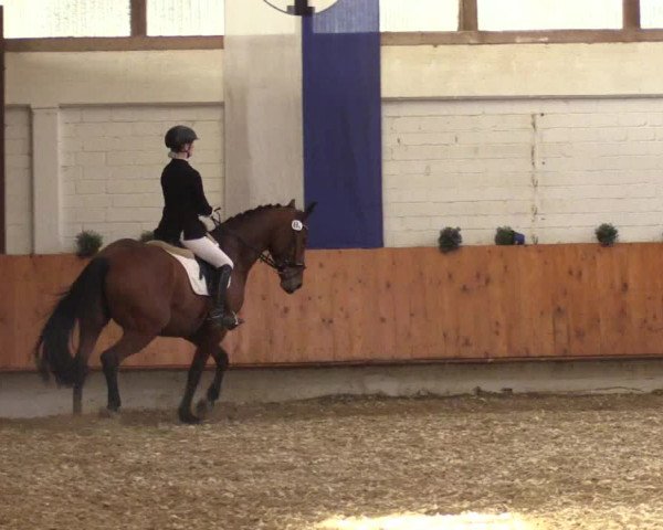Reitturnier Bottrop 2018