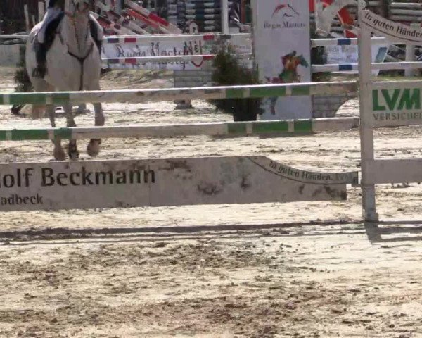 Reitturnier Bottrop 2018