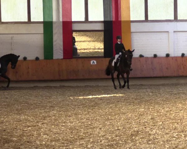 Reitturnier Bottrop 2018