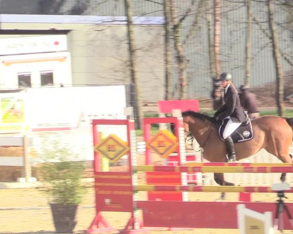 Reitturnier Schloß Holte 2018