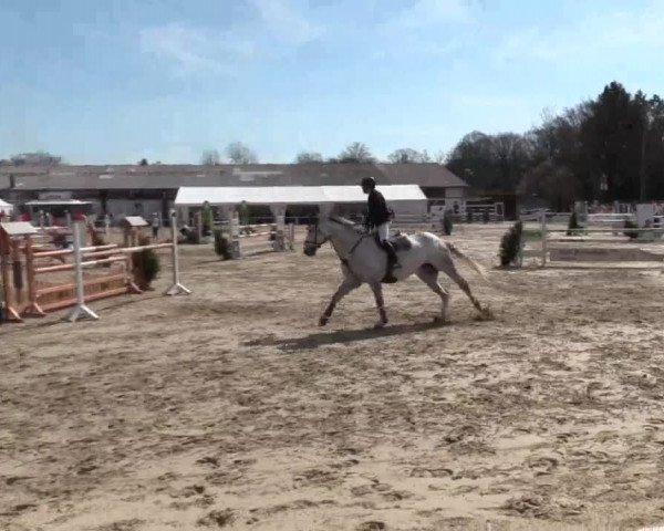 Reitturnier Bottrop 2018