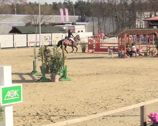 Reitturnier Schloß Holte 2018