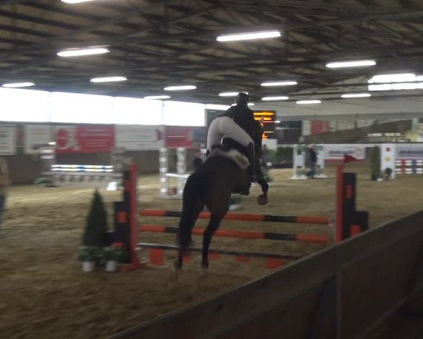 Reitturnier Jüchen-Waat 2018