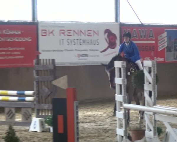 Reitturnier Jüchen-Waat 2018