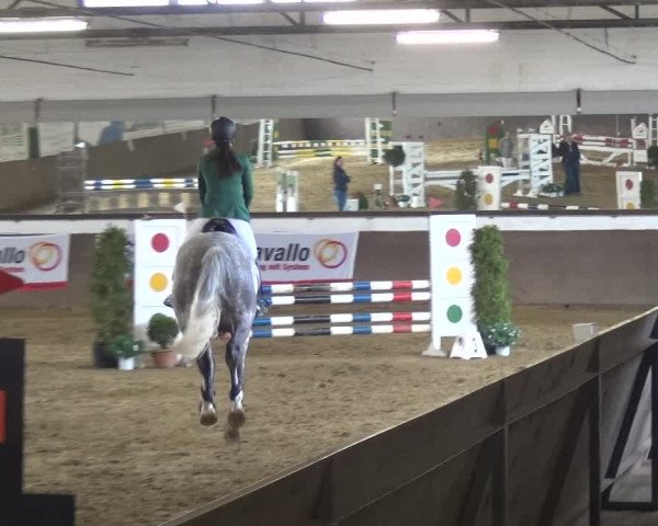 Reitturnier Jüchen-Waat 2018