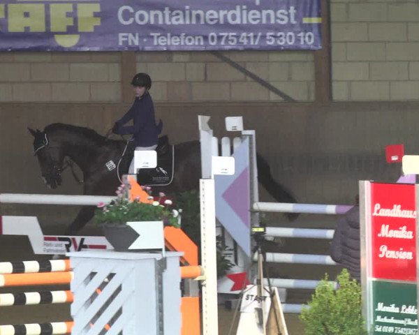 Reitturnier Friedrichshafen - Ailingen 2018