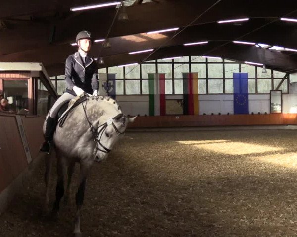 Reitturnier Bottrop 2018