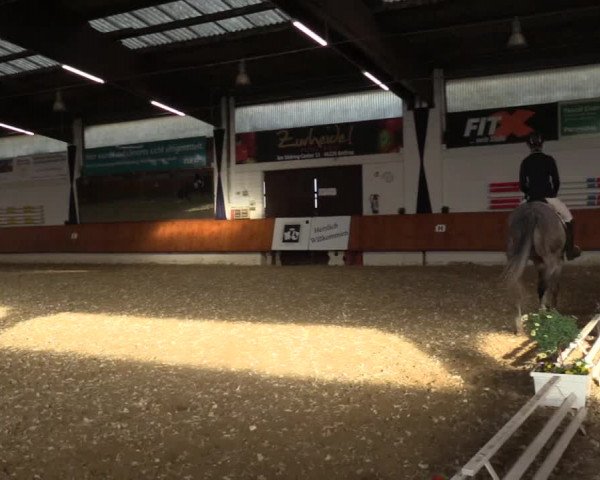 Reitturnier Bottrop 2018