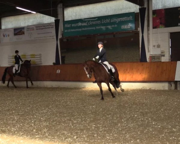 Reitturnier Bottrop 2018