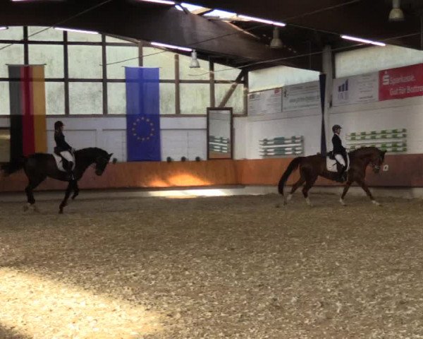 Reitturnier Bottrop 2018