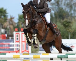 jumper Alistro 3 (Holsteiner, 2002, from Aljano)