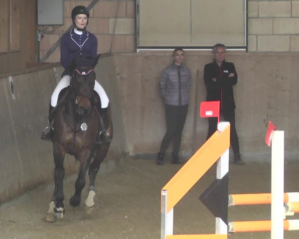Reitturnier Friedrichshafen - Ailingen 2018