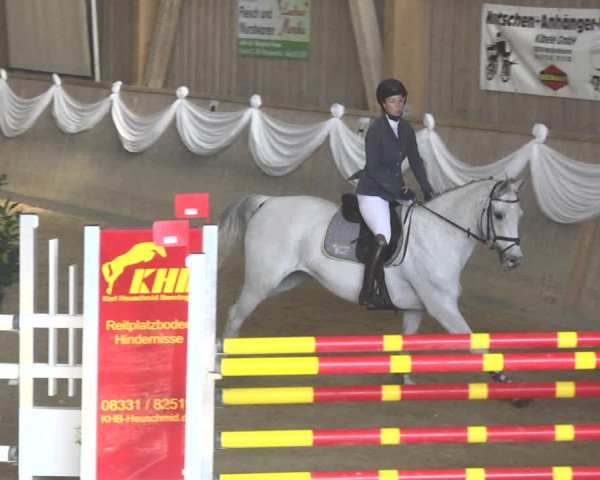 Reitturnier Friedrichshafen - Ailingen 2018