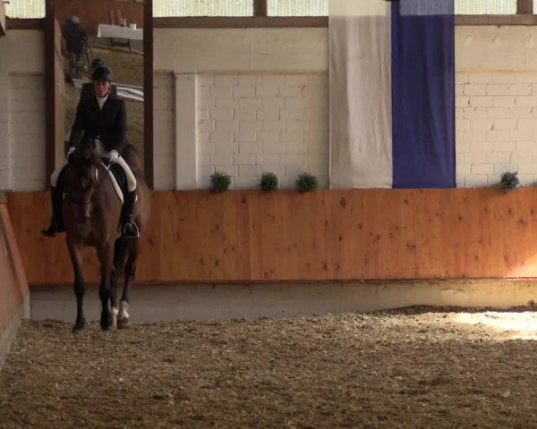 Reitturnier Bottrop 2018