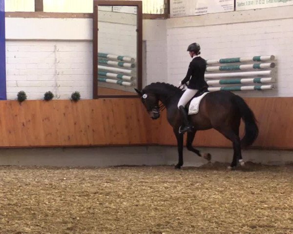 Reitturnier Bottrop 2018