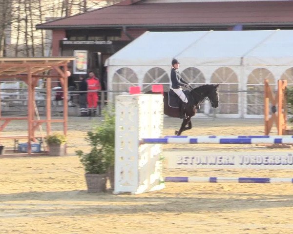 Reitturnier Schloß Holte 2018