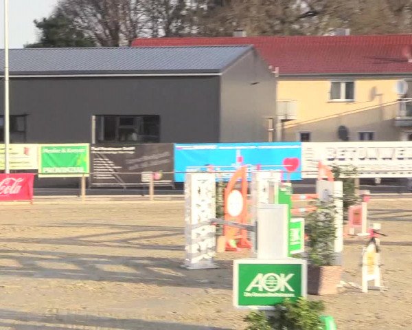 Reitturnier Schloß Holte 2018