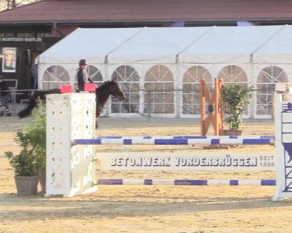 Reitturnier Schloß Holte 2018