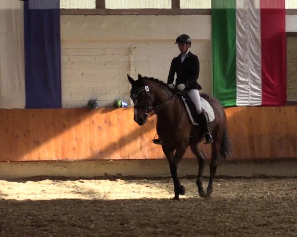 Reitturnier Bottrop 2018