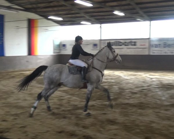 Reitturnier Jüchen-Waat 2018
