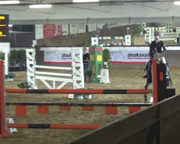 Reitturnier Jüchen-Waat 2018