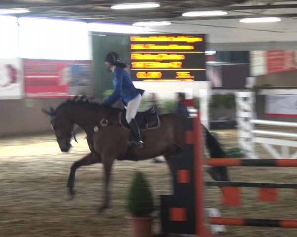 Reitturnier Jüchen-Waat 2018