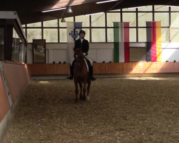 Reitturnier Bottrop 2018