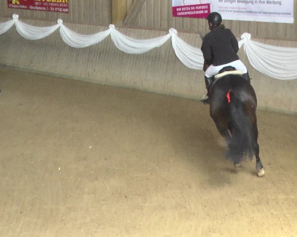 Reitturnier Friedrichshafen - Ailingen 2018
