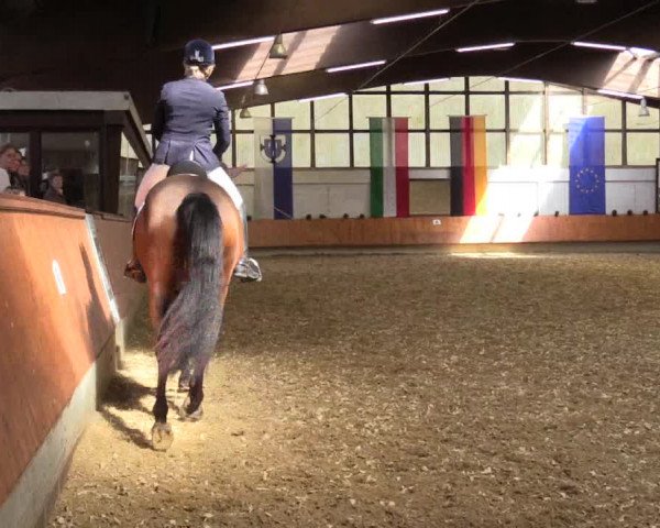 Reitturnier Bottrop 2018