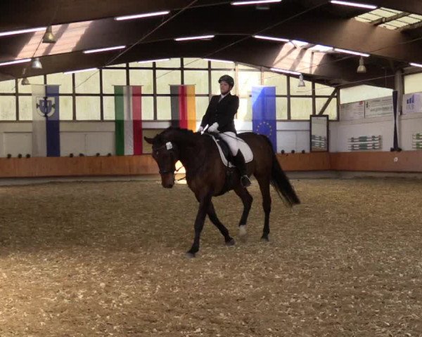 Reitturnier Bottrop 2018