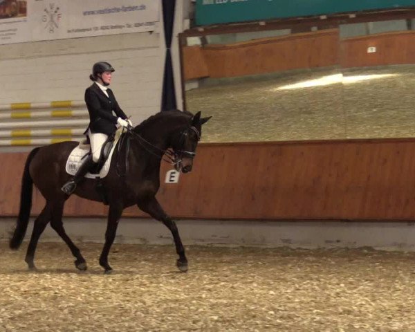 Reitturnier Bottrop 2018