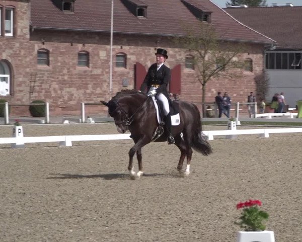 Reitturnier Zweibrücken 2018