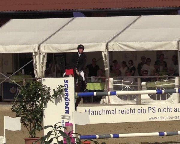 Reitturnier Schloß Holte 2018