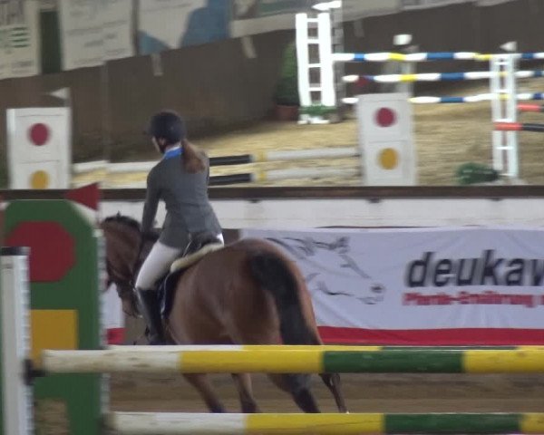 Reitturnier Jüchen-Waat 2018