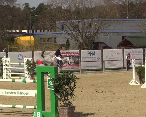 Reitturnier Schloß Holte 2018