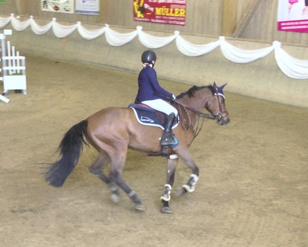 Reitturnier Friedrichshafen - Ailingen 2018