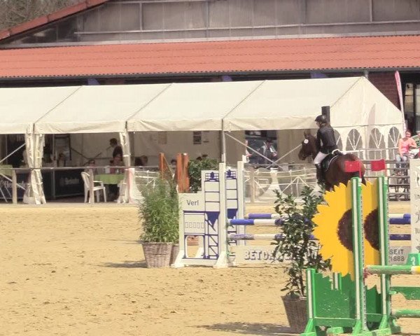 Reitturnier Schloß Holte 2018