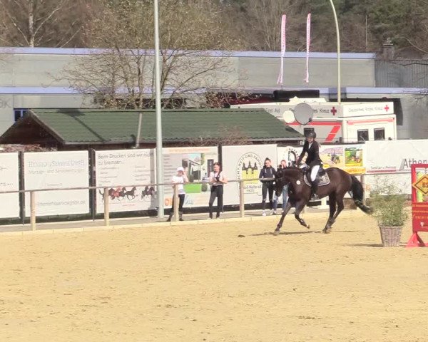 Reitturnier Schloß Holte 2018