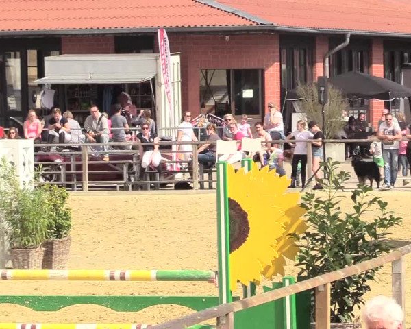 Reitturnier Schloß Holte 2018
