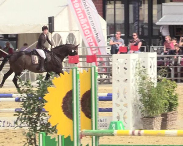 Reitturnier Schloß Holte 2018