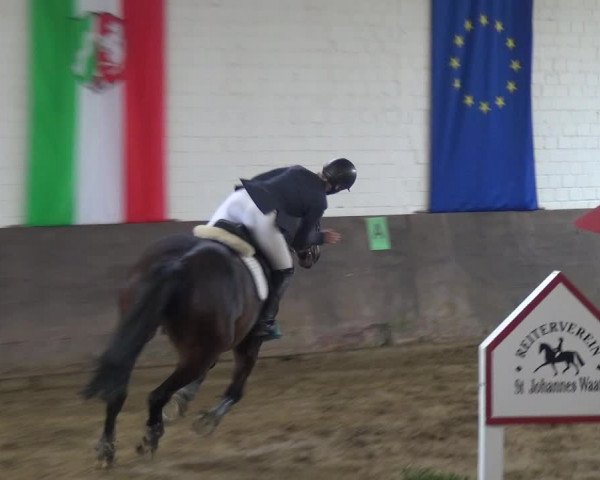 Reitturnier Jüchen-Waat 2018