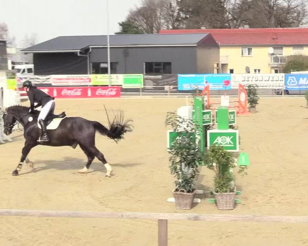 Reitturnier Schloß Holte 2018